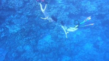 小猫钓鱼正版下载中文版